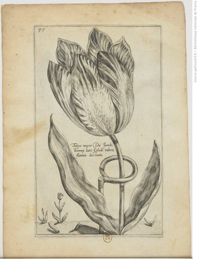 Editions de l'Hortulus